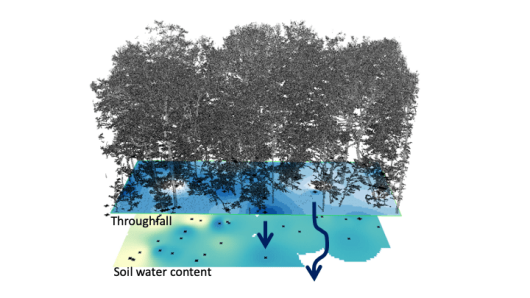 Keyfigure HESS Fischer et al 2023